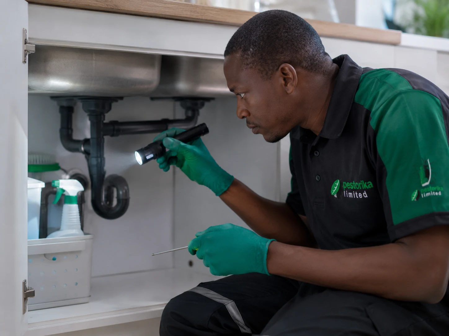 Pestorika technician completing a careful property inspection